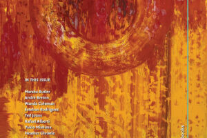 New Book Review Published in Rain Taxi