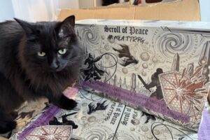 Scroll of Peace: An MLA TTRPG Game Released